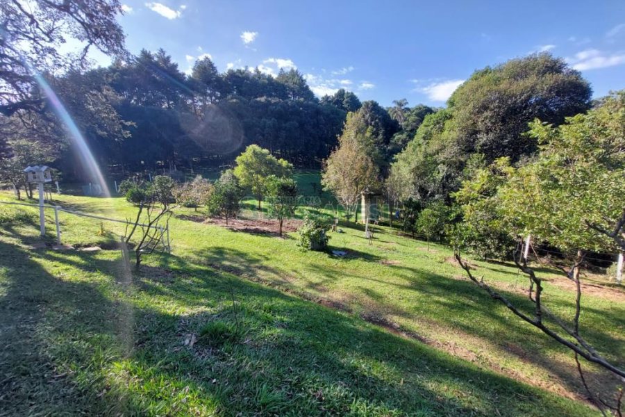 Terreno com 10000m², no bairro São Ciro em Caxias do Sul para Comprar