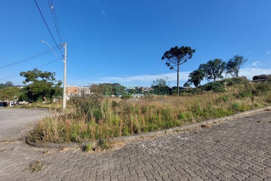 Terreno com 2807m², no bairro São Ciro em Caxias do Sul para Comprar