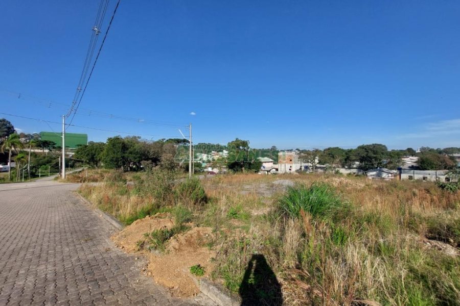 Terreno com 2807m², no bairro São Ciro em Caxias do Sul para Comprar