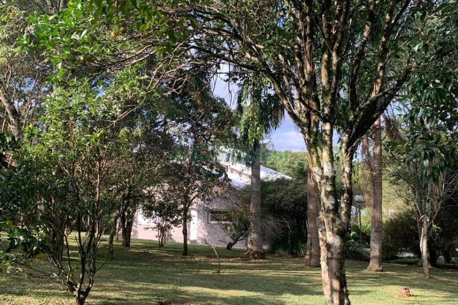 Chácara, no bairro Pedancino em Caxias do Sul para Comprar