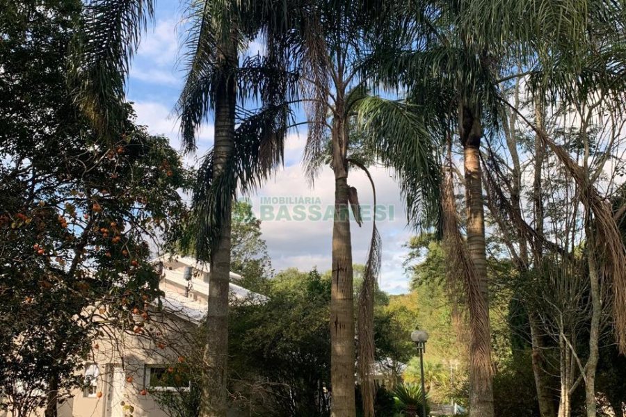 Chácara, no bairro Pedancino em Caxias do Sul para Comprar