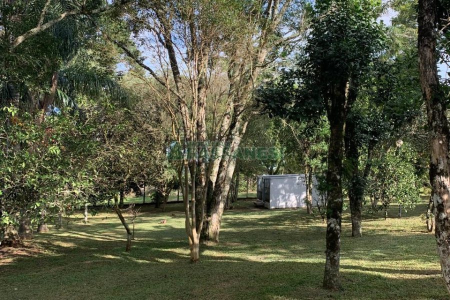 Chácara, no bairro Pedancino em Caxias do Sul para Comprar