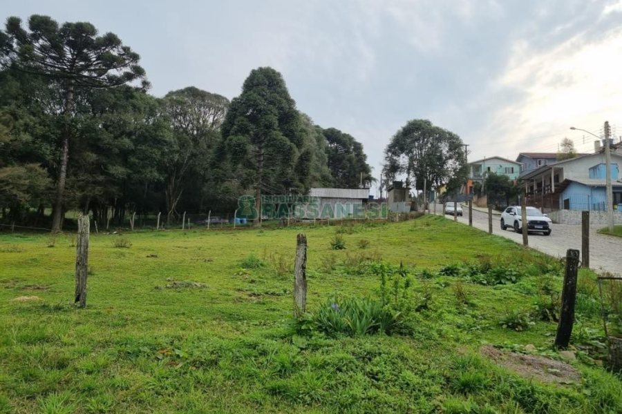 Terreno com 2300m², no bairro São Ciro em Caxias do Sul para Comprar