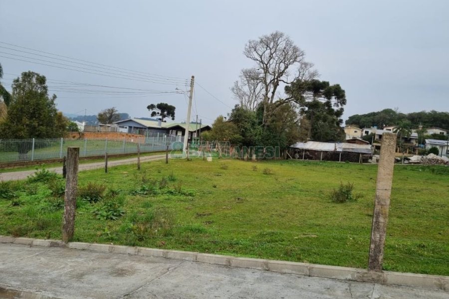 Terreno com 2300m², no bairro São Ciro em Caxias do Sul para Comprar