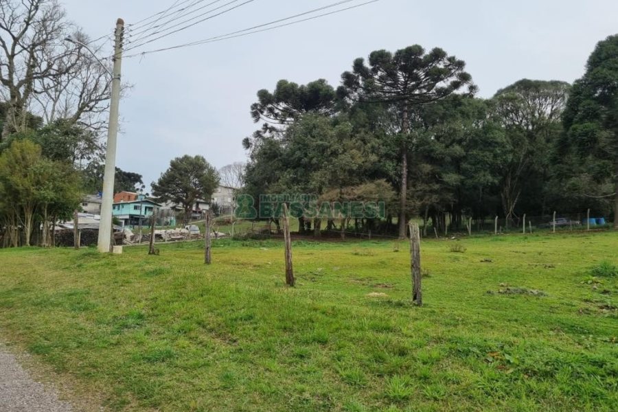 Terreno com 2300m², no bairro São Ciro em Caxias do Sul para Comprar