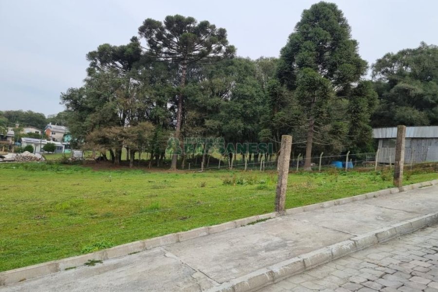 Terreno com 2300m², no bairro São Ciro em Caxias do Sul para Comprar