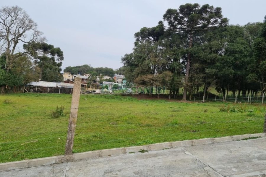 Terreno com 2300m², no bairro São Ciro em Caxias do Sul para Comprar