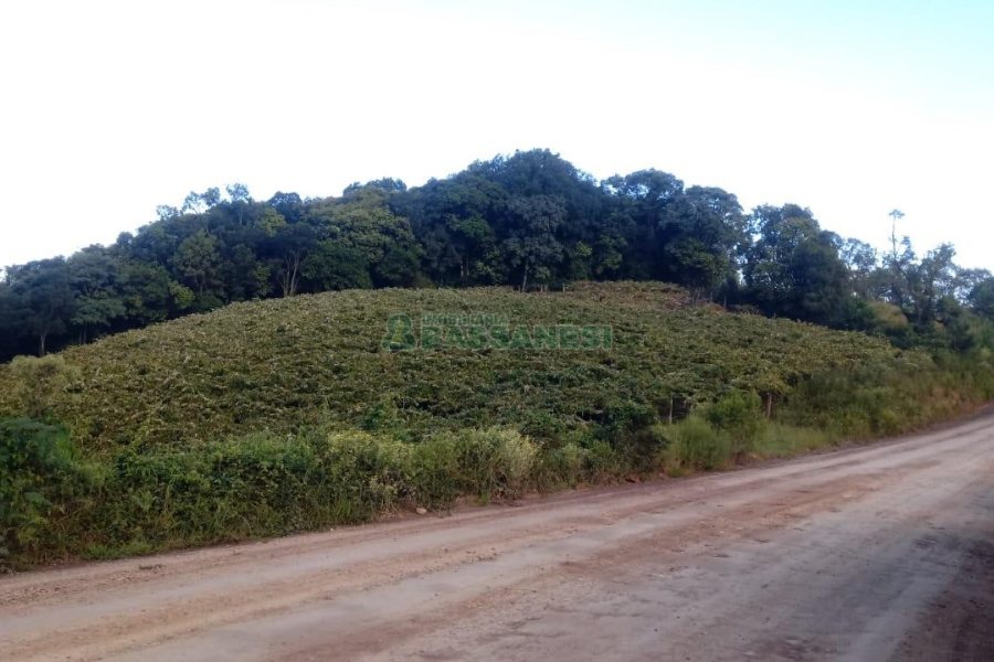 Chácara, no bairro Monte Bérico em Caxias do Sul para Comprar