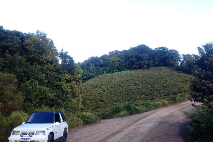 Chácara, no bairro Monte Bérico em Caxias do Sul para Comprar