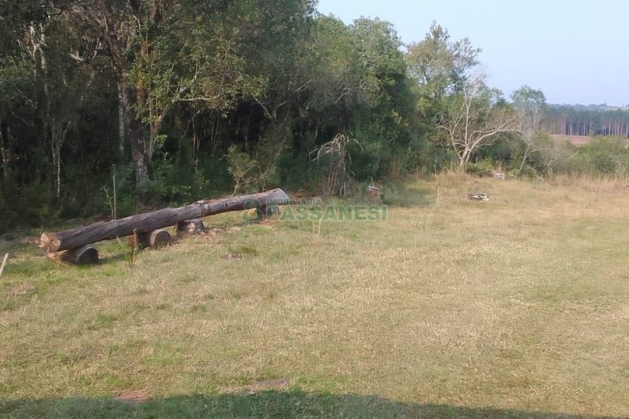 Chácara com 100m², 3 dormitórios, no bairro Criúva em Caxias do Sul para Comprar