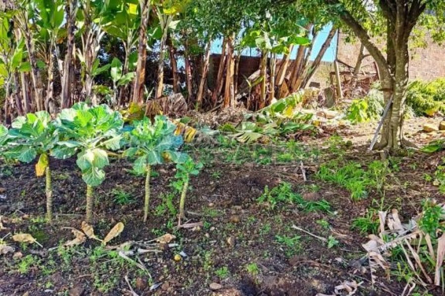 Casa com 63m², 3 dormitórios, 1 vaga, no bairro Esplanada em Caxias do Sul para Comprar