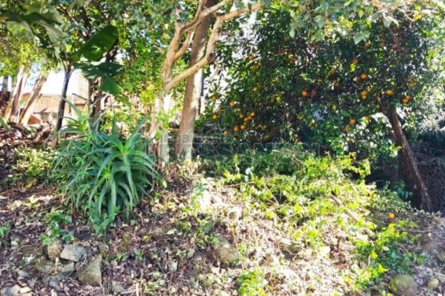 Casa com 63m², 3 dormitórios, 1 vaga, no bairro Esplanada em Caxias do Sul para Comprar