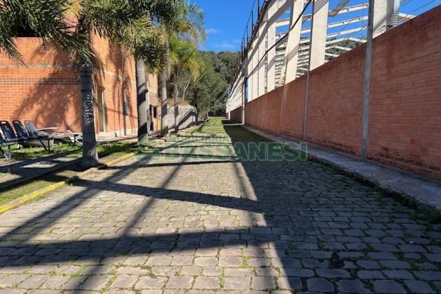 Pavilhão com 2750m², no bairro Otavio Rocha em Flores da Cunha para Alugar