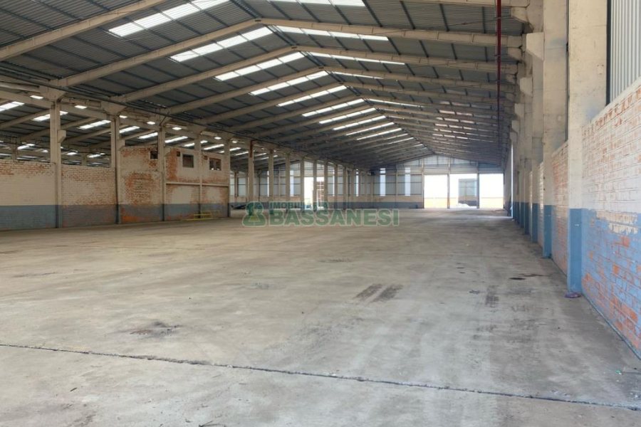 Pavilhão com 12850m², no bairro Otavio Rocha em Flores da Cunha para Alugar