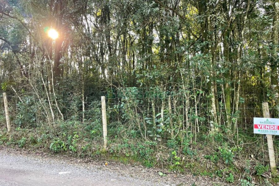 Terreno com 10062m², no bairro Pedancino em Caxias do Sul para Comprar