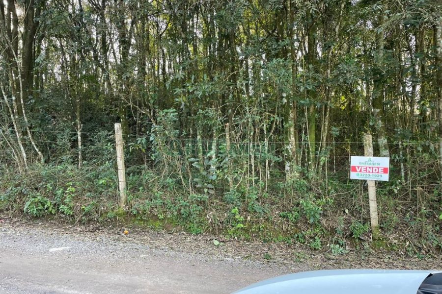 Terreno com 10062m², no bairro Pedancino em Caxias do Sul para Comprar