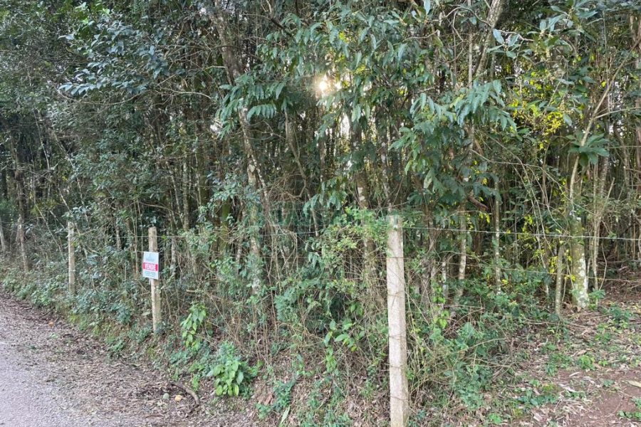 Terreno com 10062m², no bairro Pedancino em Caxias do Sul para Comprar