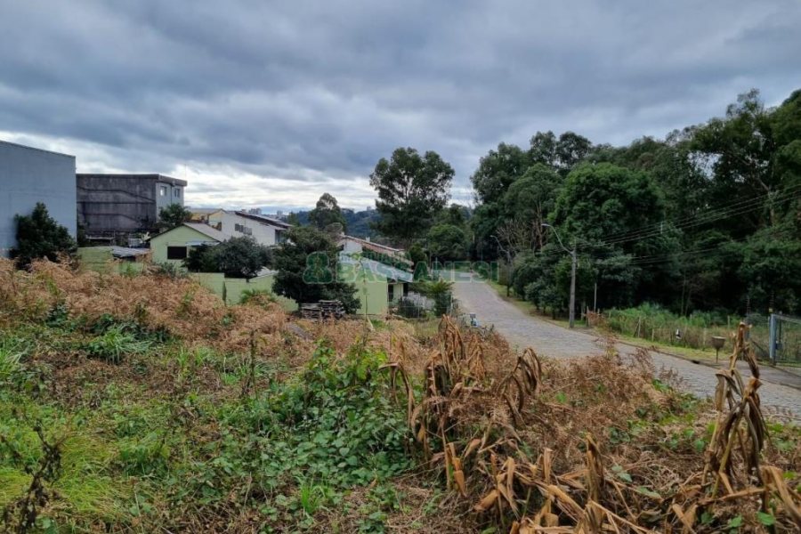 Terreno com 720m², no bairro Cinqüentenário em Caxias do Sul para Comprar