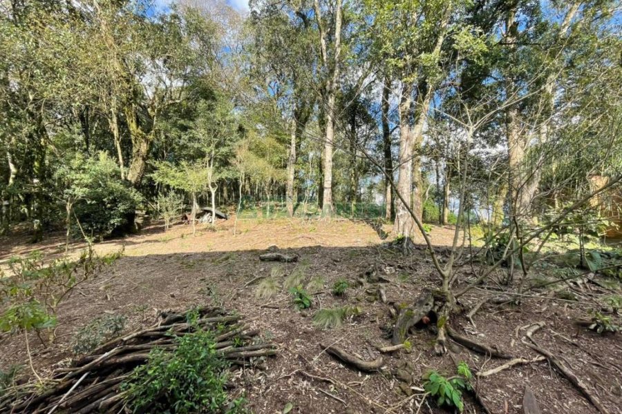 Casa com 120m², 3 dormitórios, 1 vaga, no bairro Cruzeiro em Caxias do Sul para Comprar