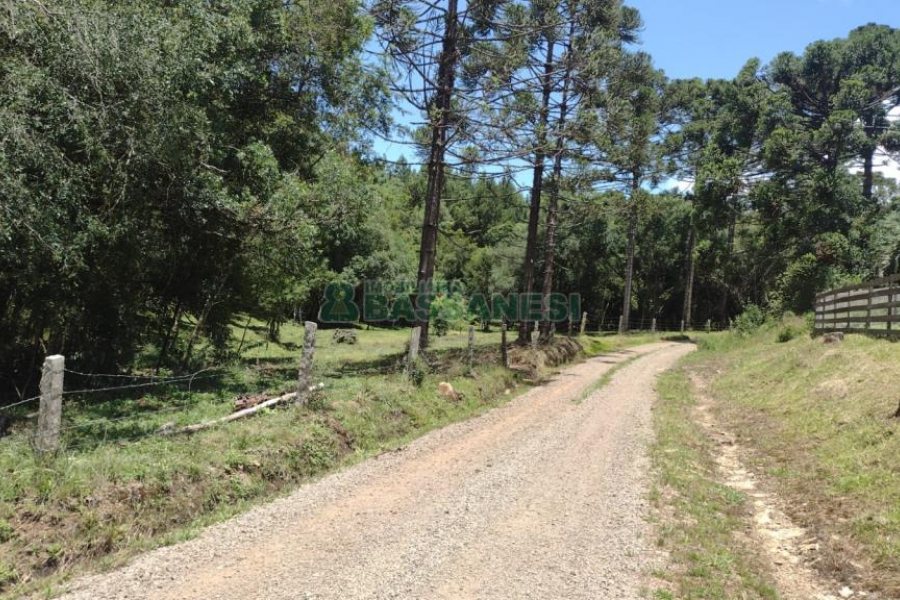 Chácara, no bairro Pedras Brancas em São Marcos para Comprar