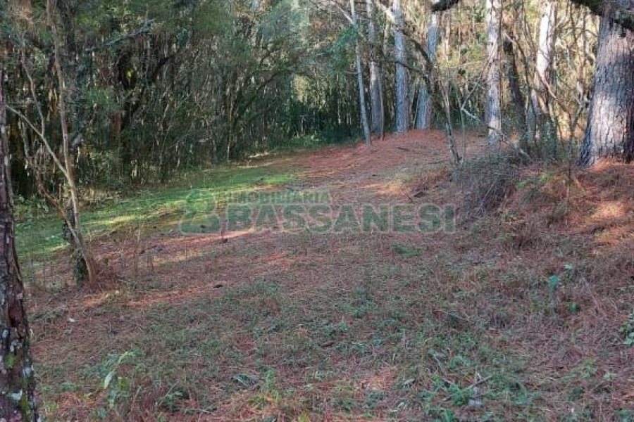 Chácara, no bairro Pedras Brancas em São Marcos para Comprar