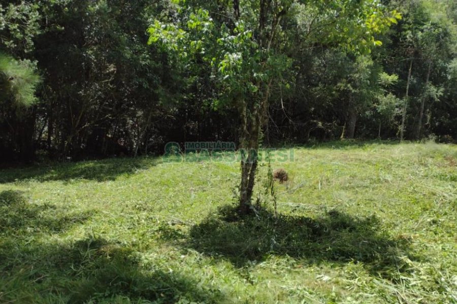 Chácara, no bairro Pedras Brancas em São Marcos para Comprar