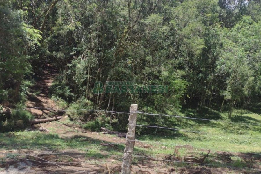 Chácara, no bairro Pedras Brancas em São Marcos para Comprar