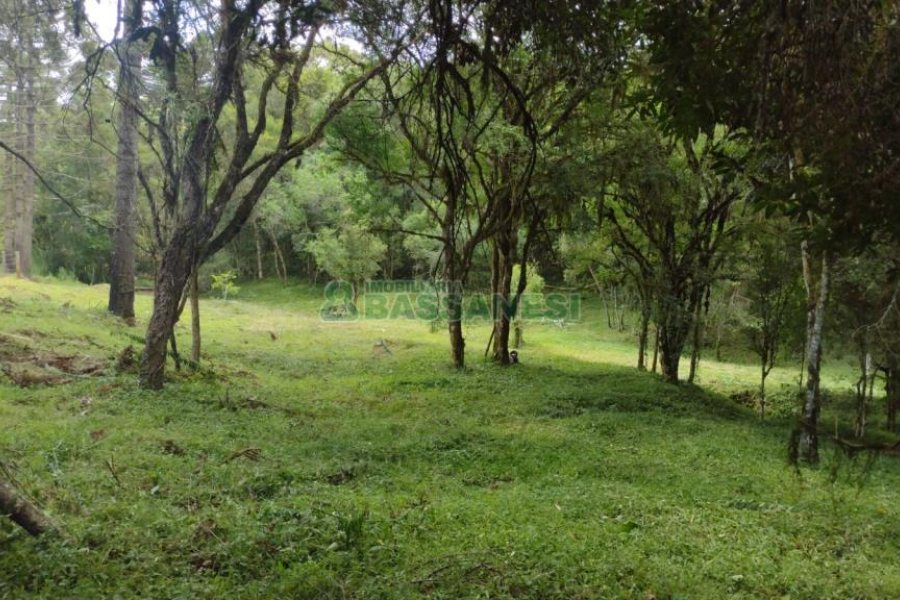 Chácara, no bairro Pedras Brancas em São Marcos para Comprar
