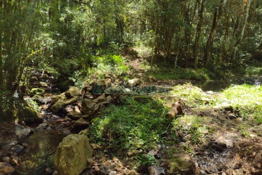 Chácara, no bairro Pedras Brancas em São Marcos para Comprar