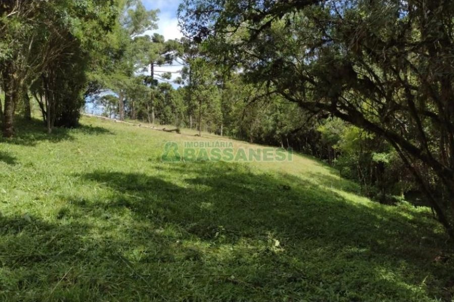 Chácara, no bairro Pedras Brancas em São Marcos para Comprar
