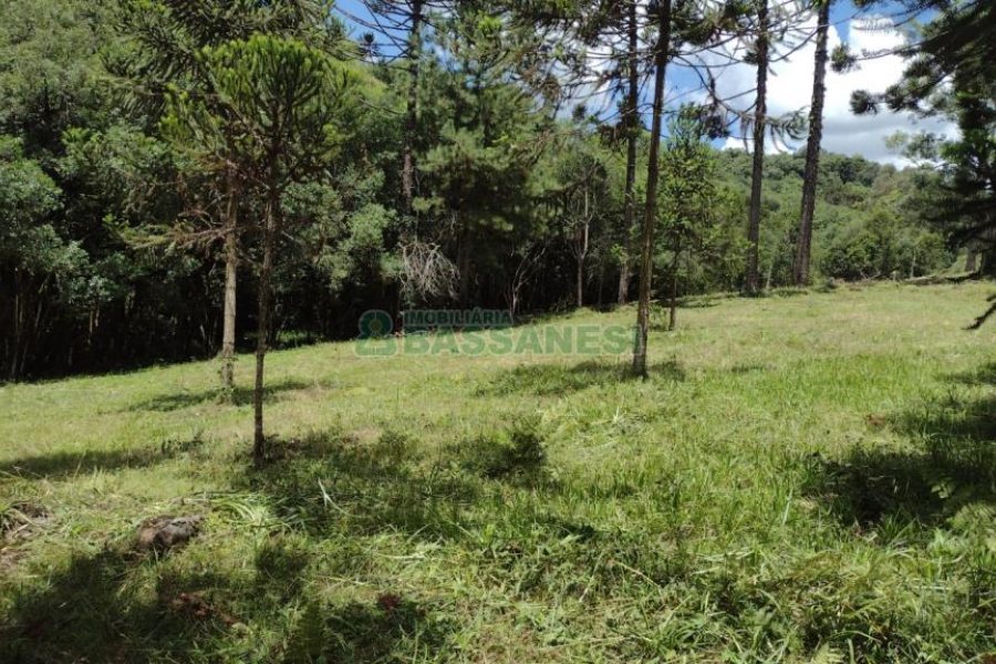 Chácara, no bairro Pedras Brancas em São Marcos para Comprar
