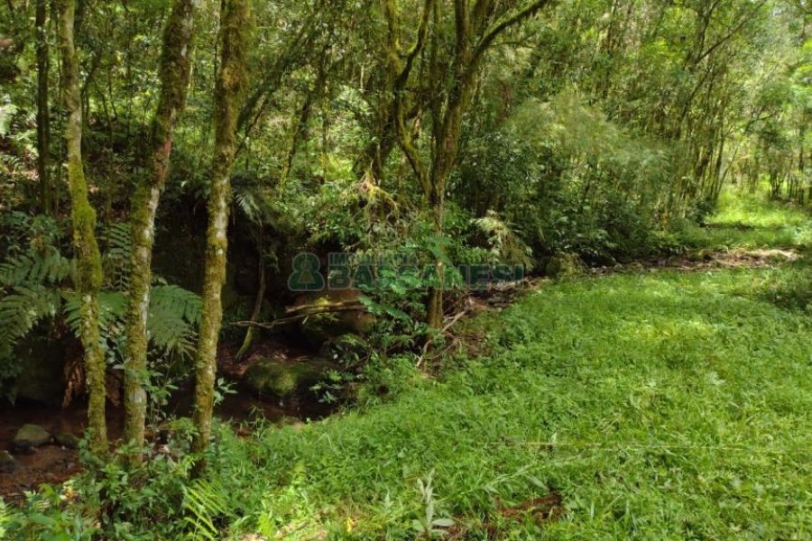 Chácara, no bairro Pedras Brancas em São Marcos para Comprar