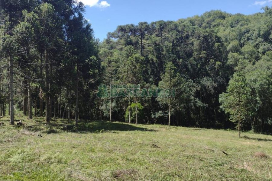 Chácara, no bairro Pedras Brancas em São Marcos para Comprar
