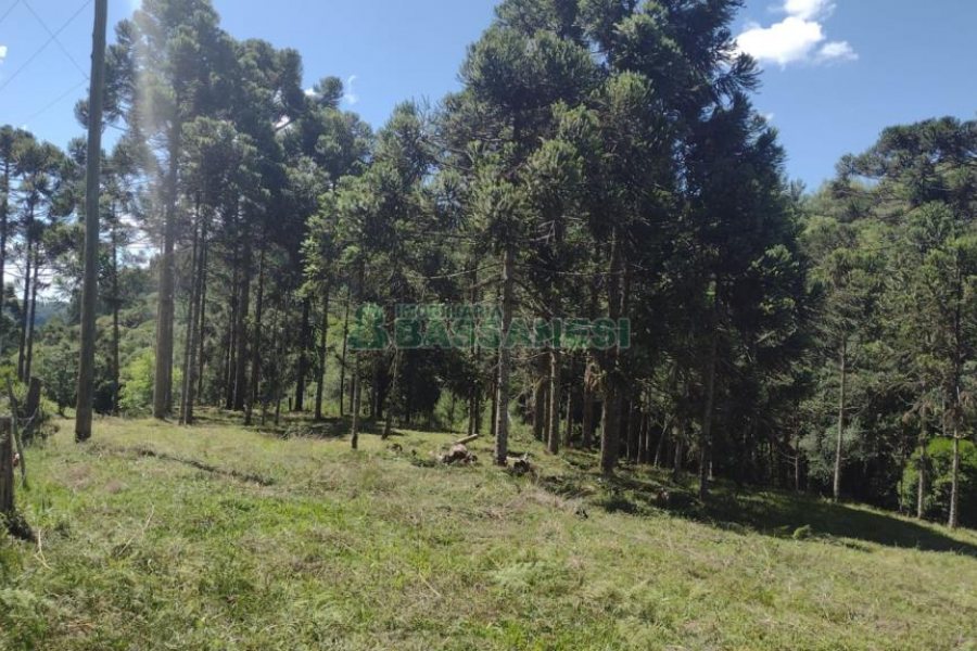 Chácara, no bairro Pedras Brancas em São Marcos para Comprar