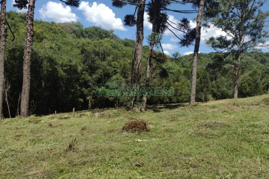 Chácara, no bairro Pedras Brancas em São Marcos para Comprar