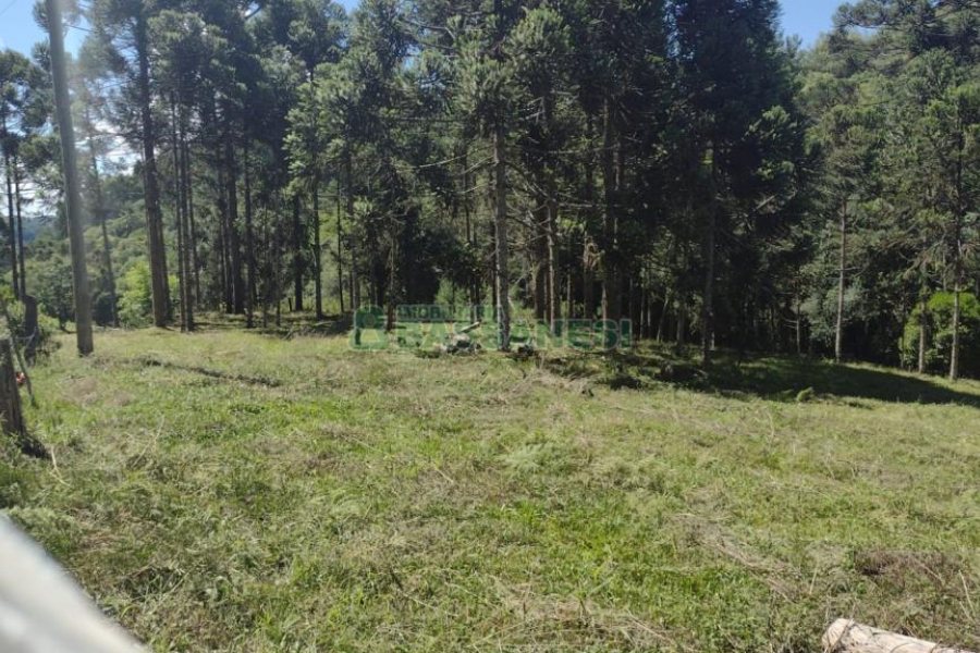 Chácara, no bairro Pedras Brancas em São Marcos para Comprar