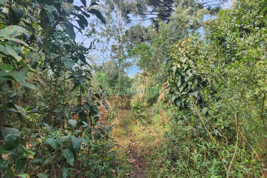 Terreno com 50544m², no bairro Salgado Filho em Caxias do Sul para Comprar