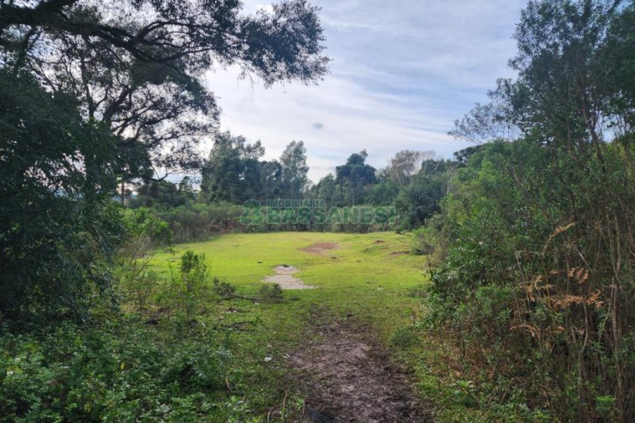 Terreno com 50544m², no bairro Salgado Filho em Caxias do Sul para Comprar
