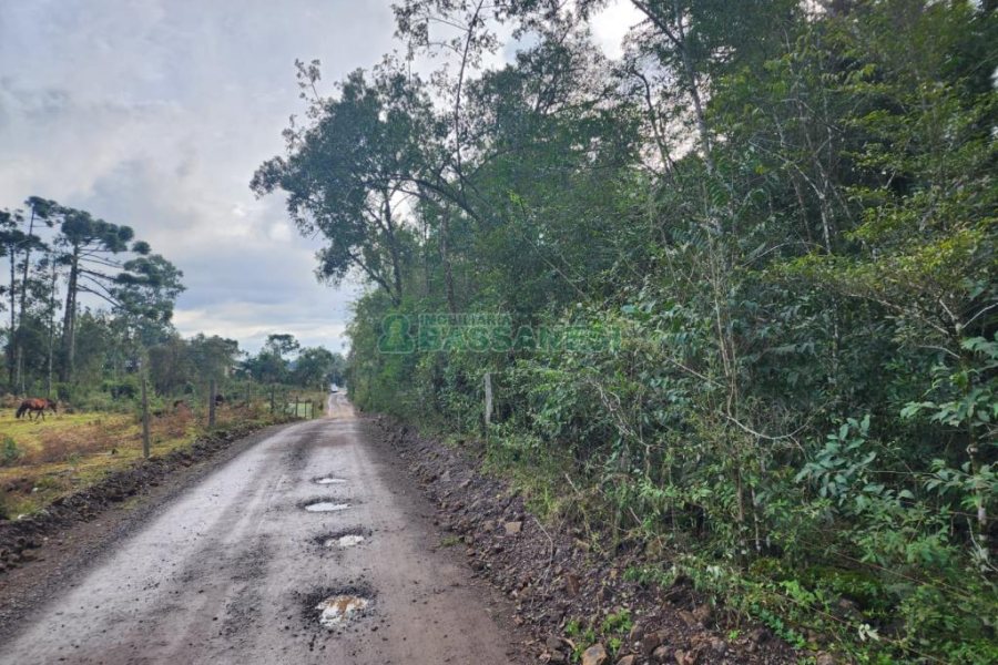 Terreno com 50544m², no bairro Salgado Filho em Caxias do Sul para Comprar