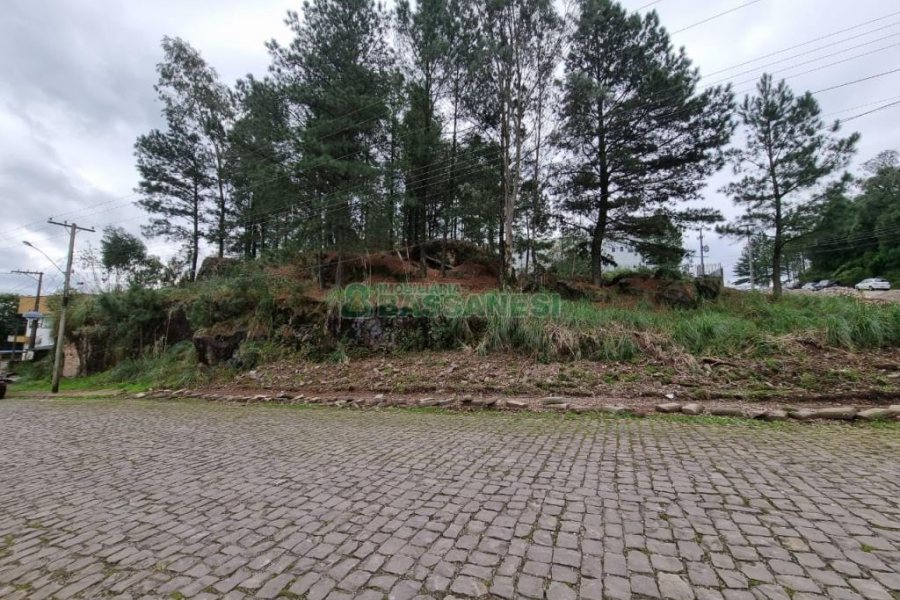 Terreno com 1575m², no bairro São Giácomo em Caxias do Sul para Comprar