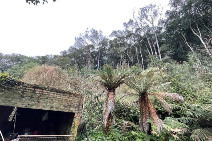 Chácara com 120m², 3 dormitórios, no bairro Parada Cristal em Caxias do Sul para Comprar