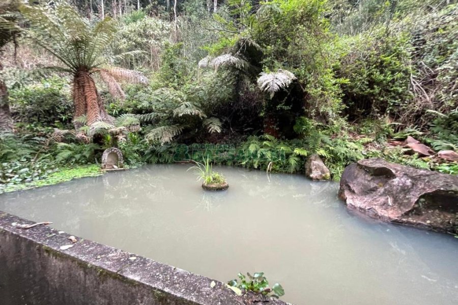 Chácara com 120m², 3 dormitórios, no bairro Parada Cristal em Caxias do Sul para Comprar