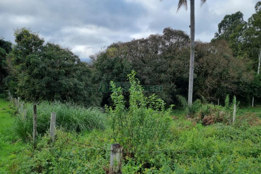 Terreno com 374m², no bairro Vila Verde em Caxias do Sul para Comprar