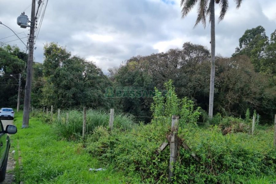 Terreno, no bairro Vila Verde em Caxias do Sul para Comprar