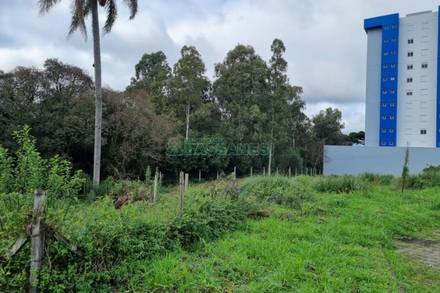 Terreno, no bairro Vila Verde em Caxias do Sul para Comprar