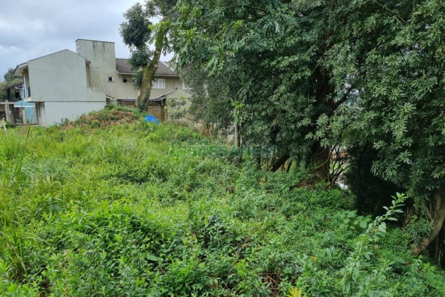 Terreno, no bairro Vila Verde em Caxias do Sul para Comprar