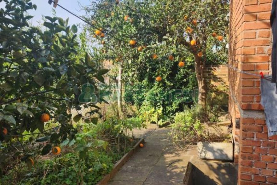 Casa com 200m², 3 dormitórios, 2 vagas, no bairro Sagrada Família em Caxias do Sul para Comprar