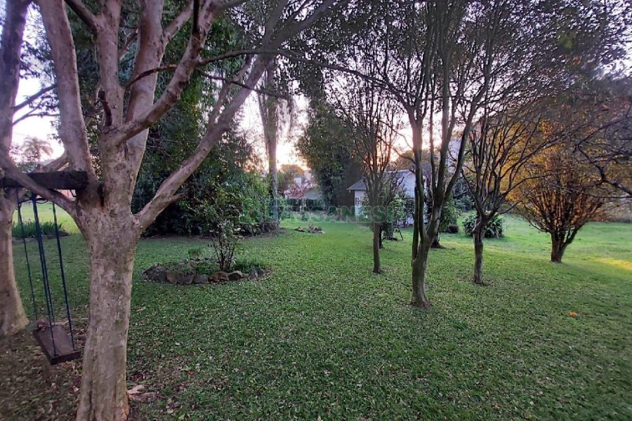 Casa com 500m², 4 dormitórios, 1 vaga, no bairro São Luiz em Caxias do Sul para Alugar