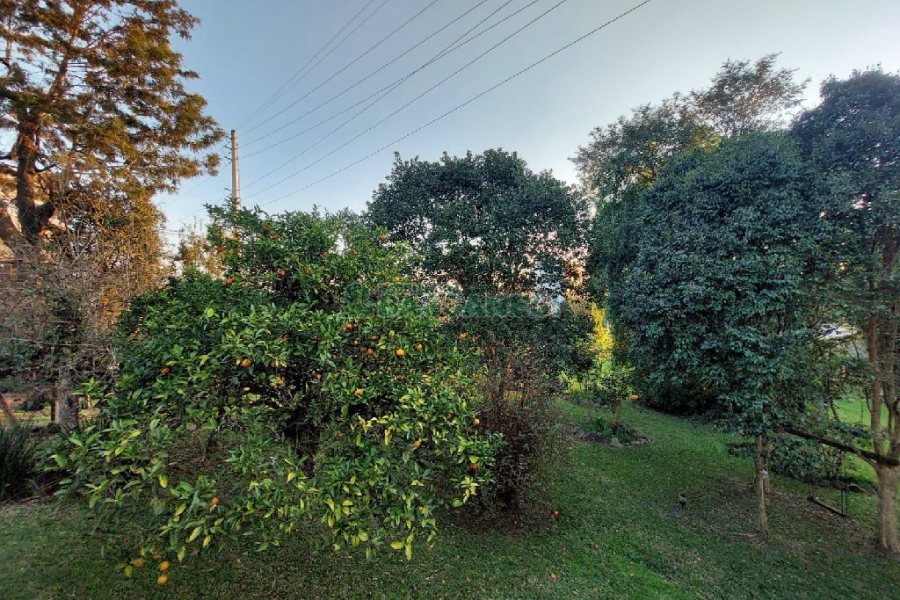 Casa Comercial com 500m², 4 dormitórios, 1 vaga, no bairro São Luiz em Caxias do Sul para Alugar