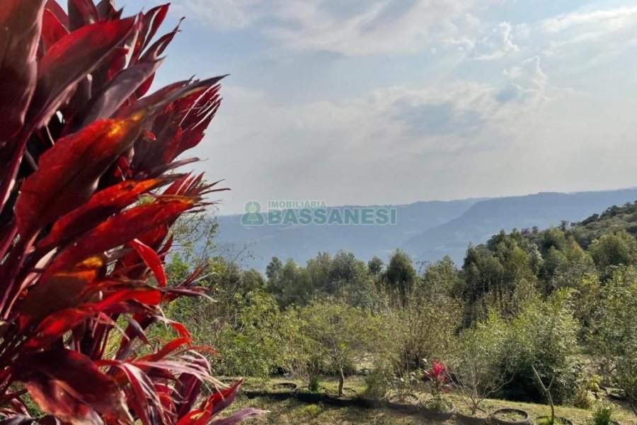 Chácara com 360m², 3 dormitórios, 1 vaga, no bairro Vila Cristina em Caxias do Sul para Comprar